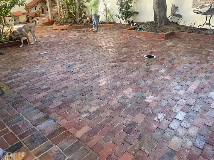 Patio Paving Red Brick Paver Patio Around A Tree